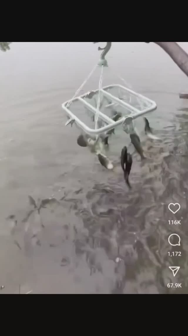 Рыбалка