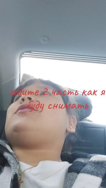 scene_output.mp4