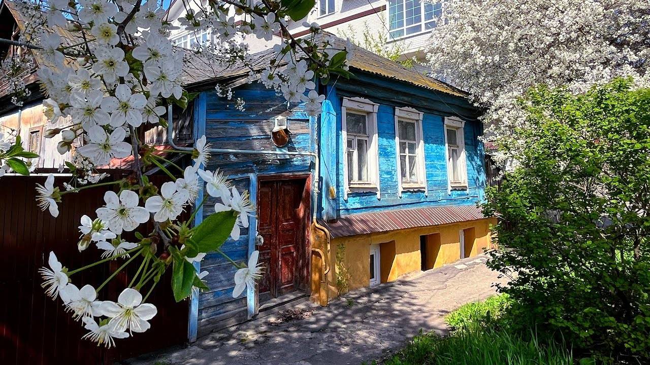 Улицы в цветущих вишнях. Курск.