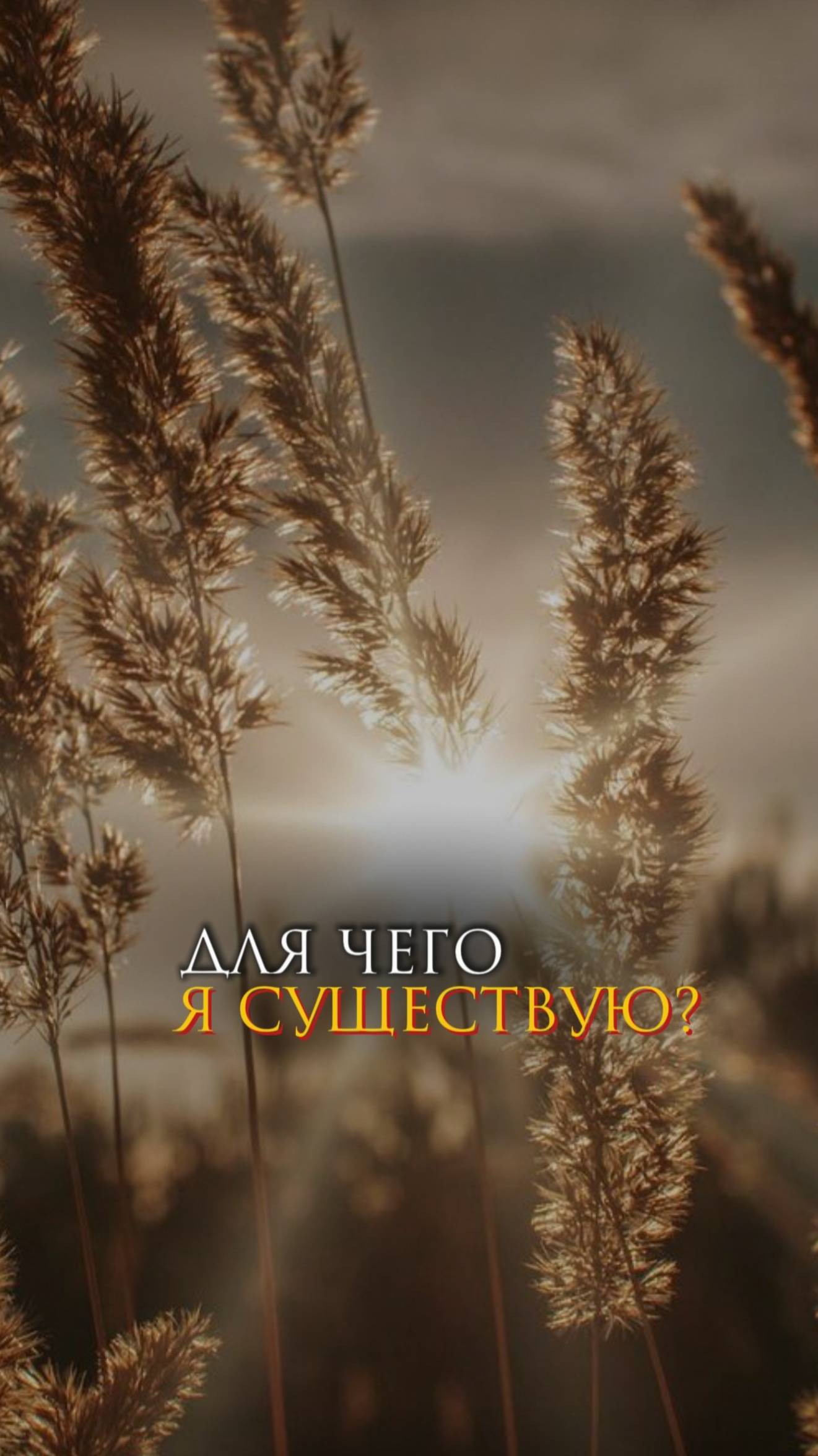 Для чего я существую?