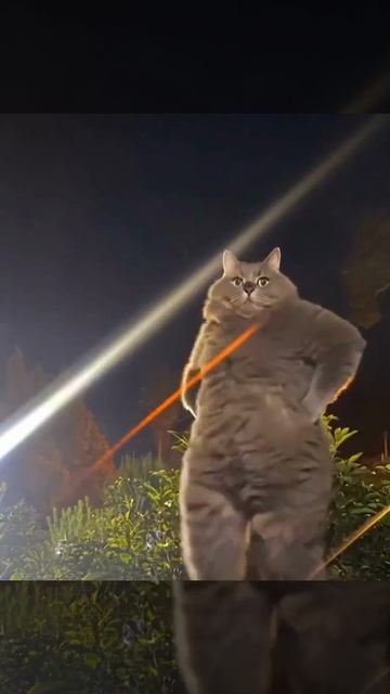 Похоже на правду