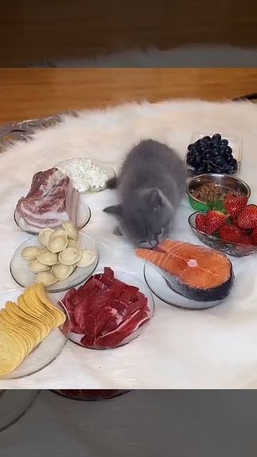 Мешок с картошкой #31