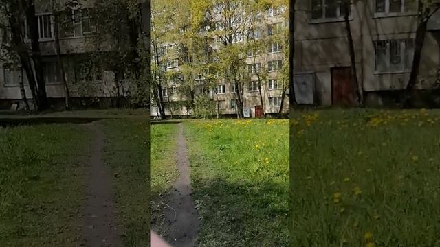 Дворы у Большевиков