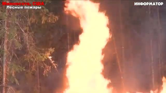 Новости Сегодня 17.05.2025 - Россия, Москва, Экстренный вызов новый выпуск, Катаклизмы, События Дня
