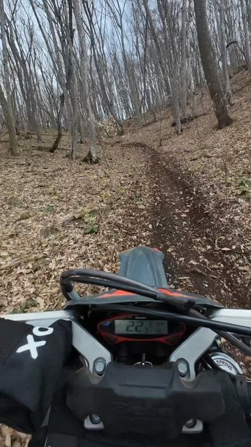 Курва #shorts #enduro #эндуро #moto #мото #crash