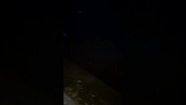 Царевна-лягушка.