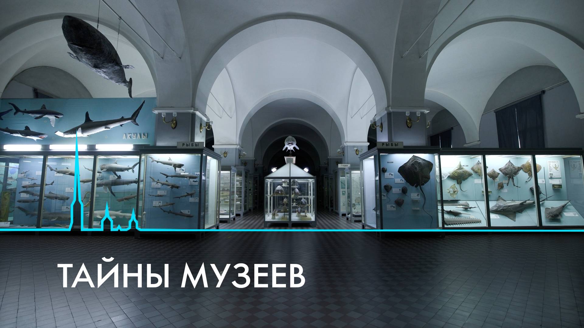 Какие тайны хранят музеи Санкт-Петербурга?