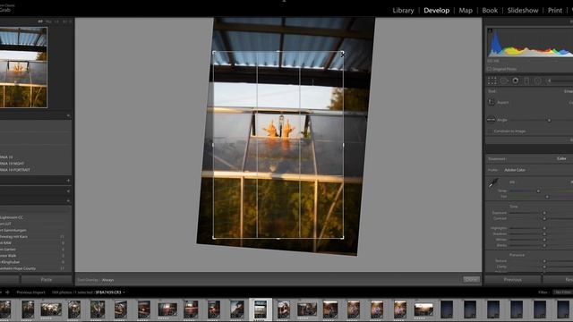 Taking Photos with a f1.2 Vintage Lens (+Lightroom Editing)