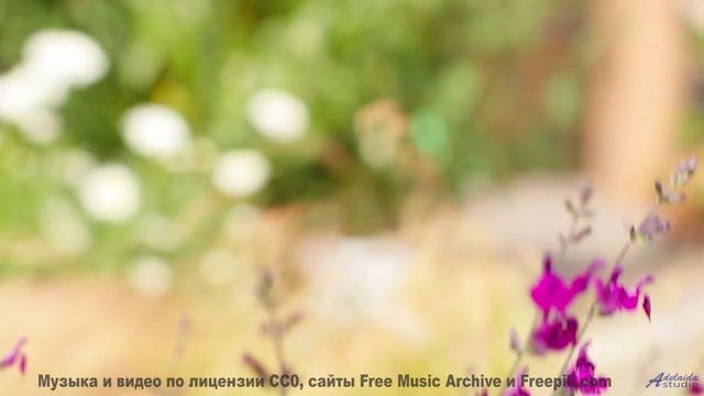 Когда музыка и пейзажи сливаются в один шедевр! - Lowest Face -- Derek Clegg -- Man on the Run