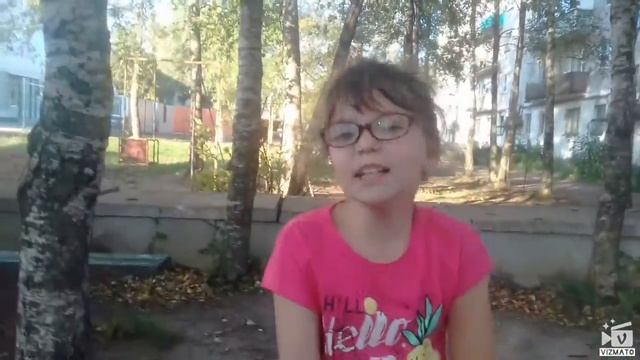Сообщение о новом канале кошка тв