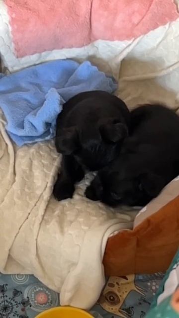 1000000180.mp4