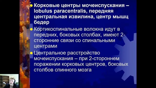 I 5. Вегетативная НС (сегментарный, надсегментарный отделы)
