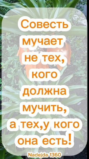 Коротко обо всём!