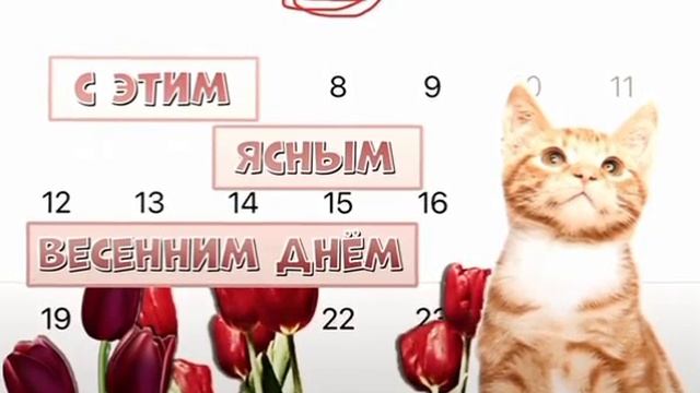 Видео с 1 маем,знаю что уже 17 мая,ну ладно извините 🤩😃