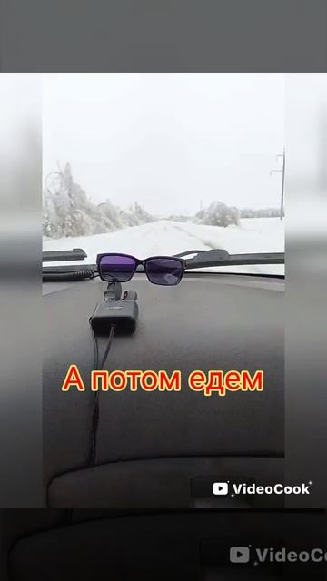 катаклизм# мтз#дорога#трактор