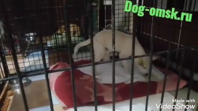 Новости от СНЕЖКА
