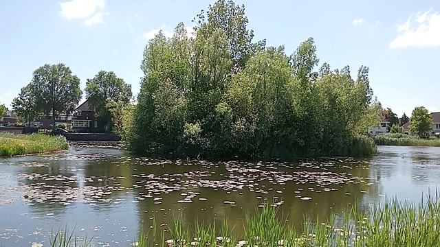 Тропарь греческий святому Феодору, 16 мая