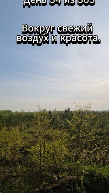 День 34 из 365