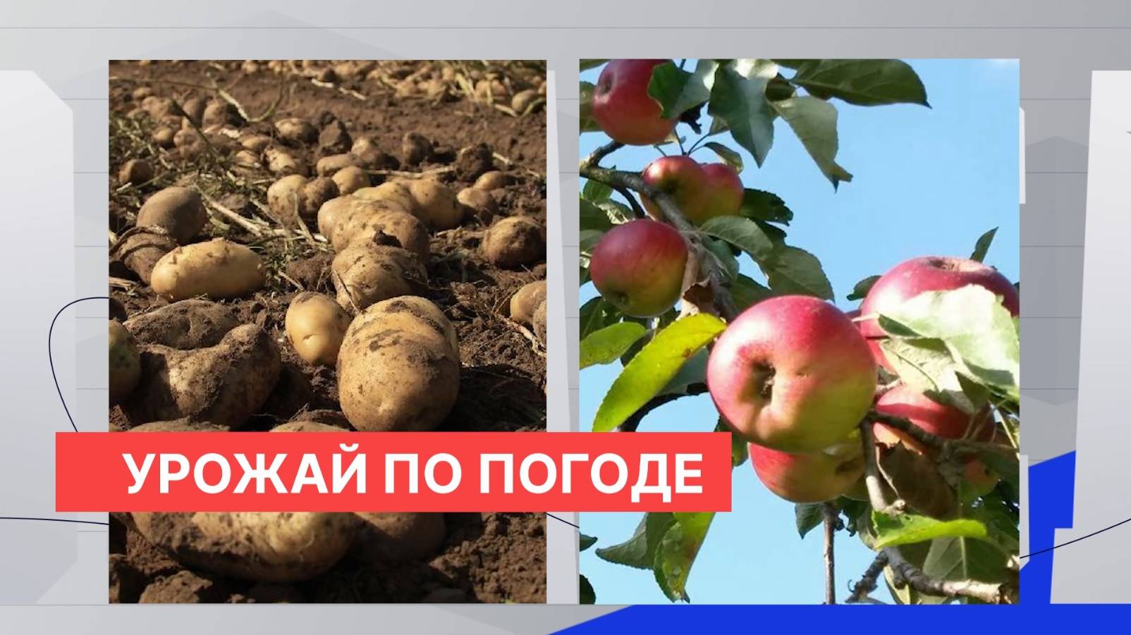 Ботанический сад