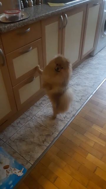 Хочу кушать