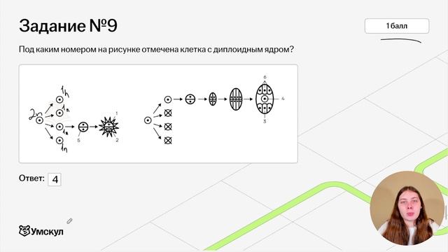 Задания 1 части ЕГЭ по биологии: пошаговый разбор | Биология ЕГЭ для 10 классов | Умскул