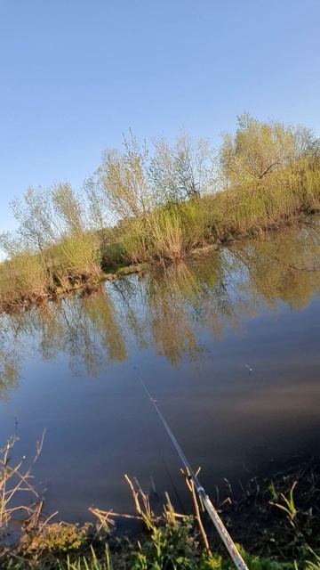 Рыбалка