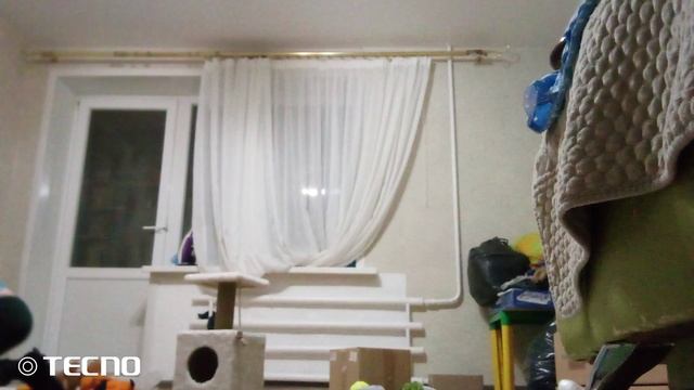 Реакция Рыжика на когти 5.3