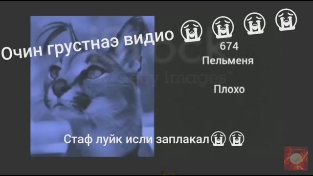Сколько ты съел пельменей (Грустное видео)