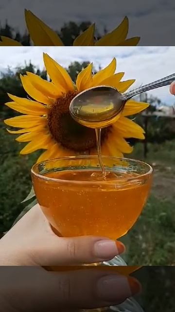 Наш медок 2020