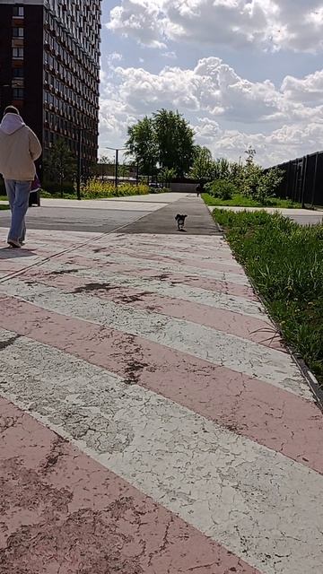 Марго-Ко мне.