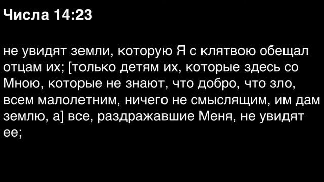 Числа, глава 14