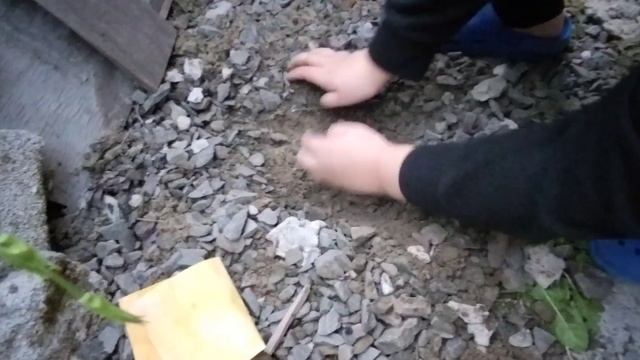 мы нашли сокровище 💎