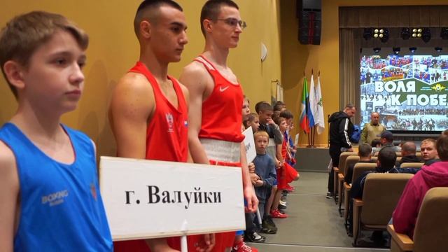 Бокс г Короча "Воля к победе"