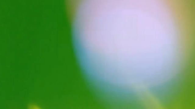 Видеофон для монтажа видео