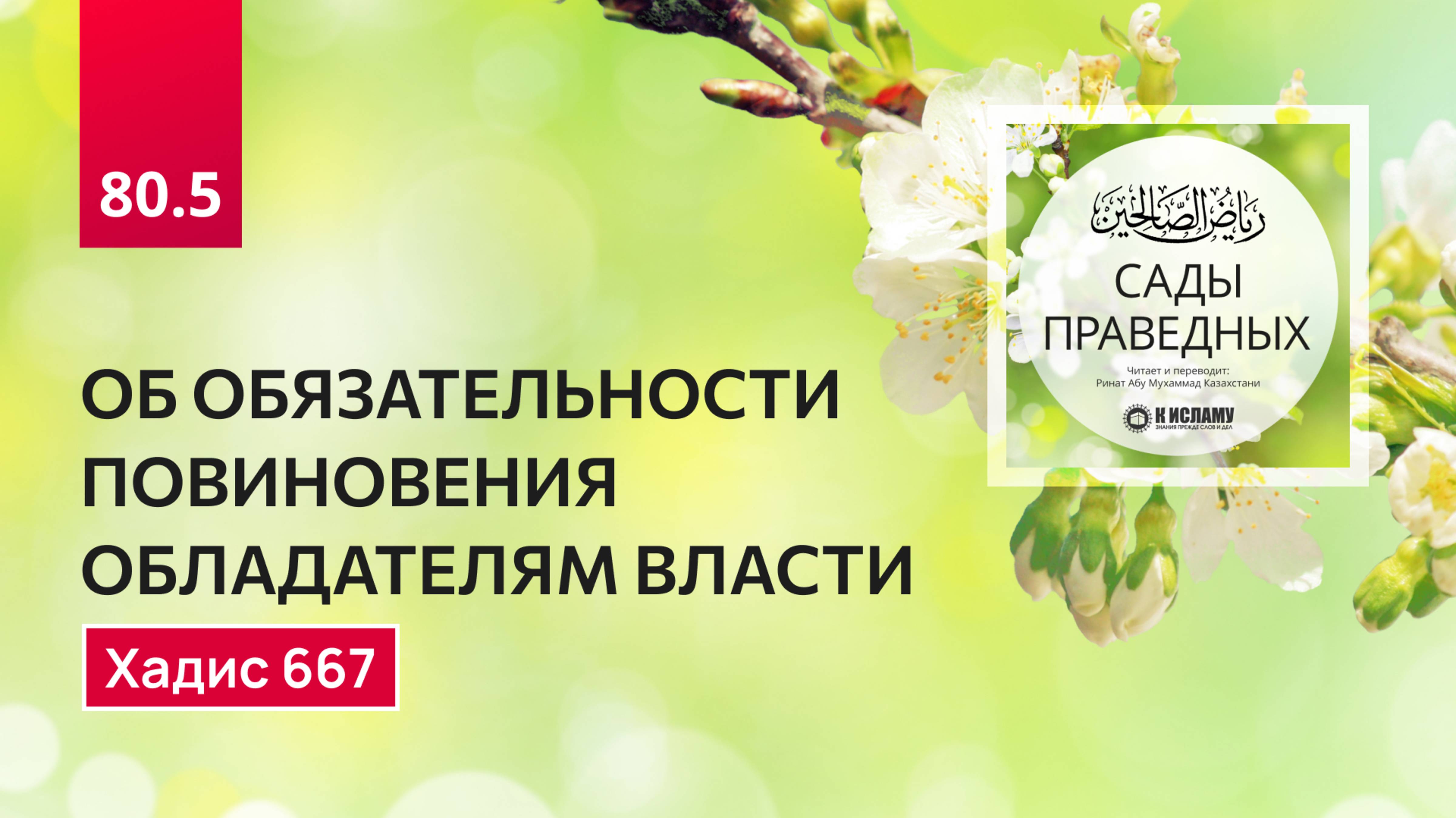 80.5 Сады праведных. ОБ ОБЯЗАТЕЛЬНОСТИ ПОВИНОВЕНИЯ ОБЛАДАТЕЛЯМ ВЛАСТИ. Часть 5-я. Хадис 667