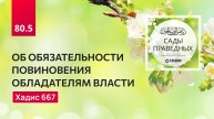 80.5 Сады праведных. ОБ ОБЯЗАТЕЛЬНОСТИ ПОВИНОВЕНИЯ ОБЛАДАТЕЛЯМ ВЛАСТИ. Часть 5-я. Хадис 667