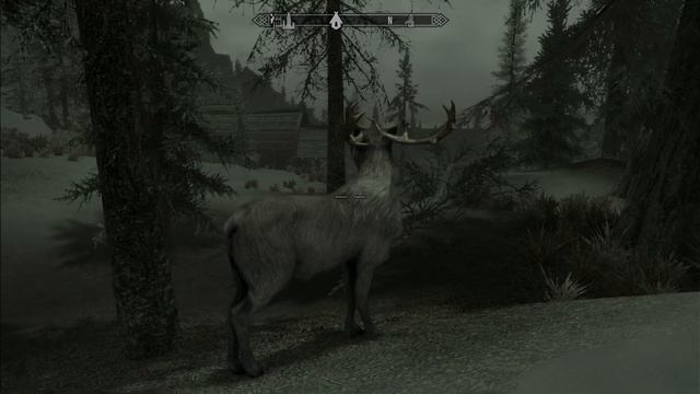 Skyrim. Олень