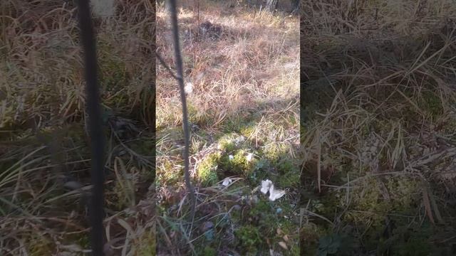 Октябрь 24 год