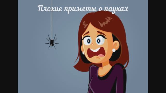К чему пауки в доме, какие приметы есть про паутину?