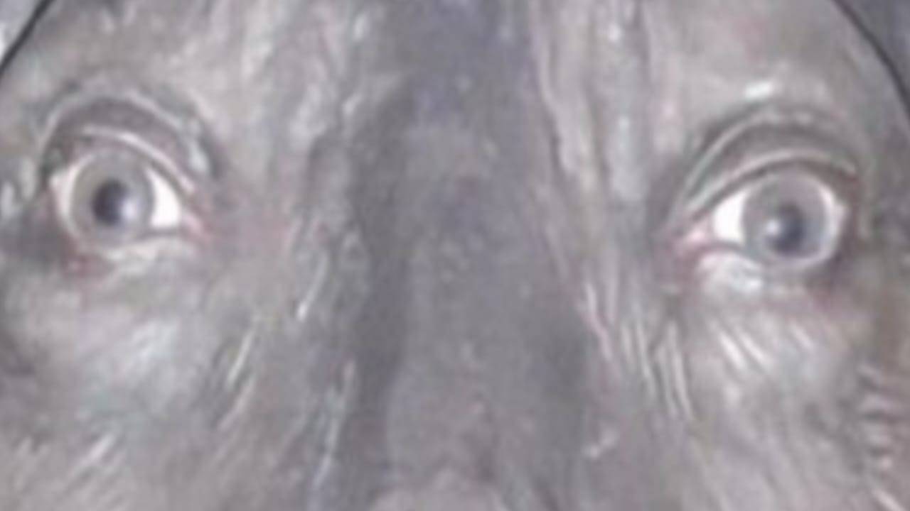 sabi_2025