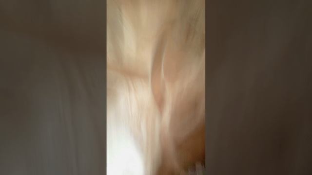 первая часть как мы сбиваем обезьяну игрушечную