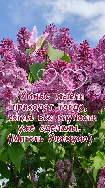 Когда приходят умные мысли #мудрыефразы