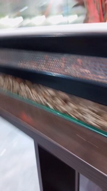 смотрим змеюк.