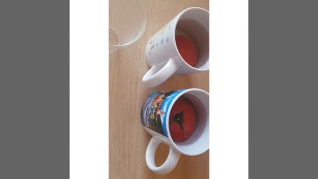канген вода проверка замачивание (2)