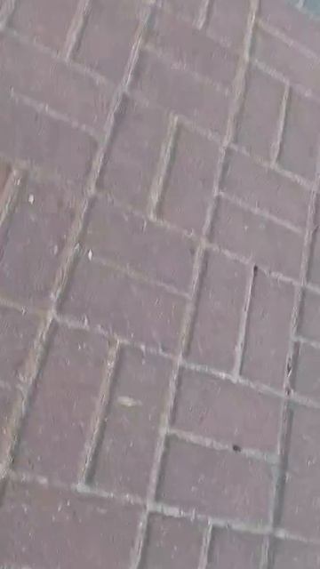 На площади Ленина электроскутер врезался в девушку с лошадью