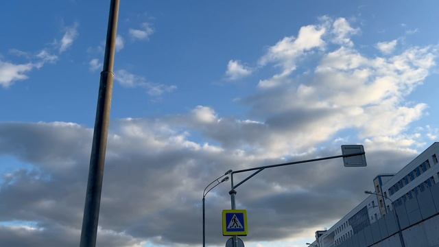 My live. Экосистема Земли - баланс жизни.