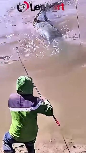 Гигантского сома поймали нейросети