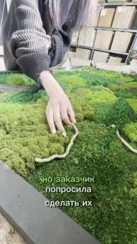 Картина из стабилизированного мха и растений