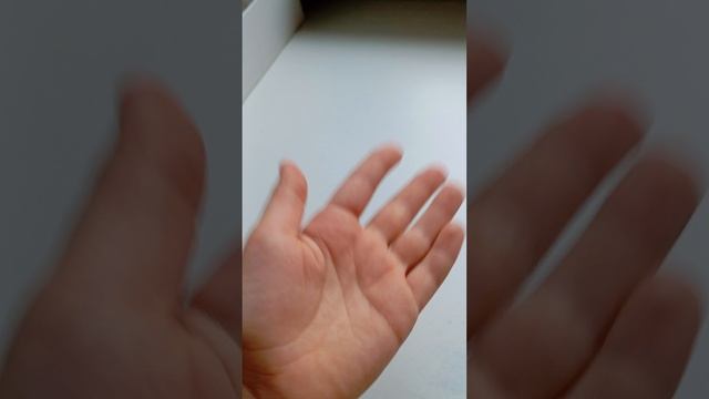 бумажные собаки 😜🫰🏻 планы на день ♥️