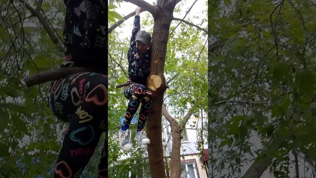 показываю как залезть на дерево